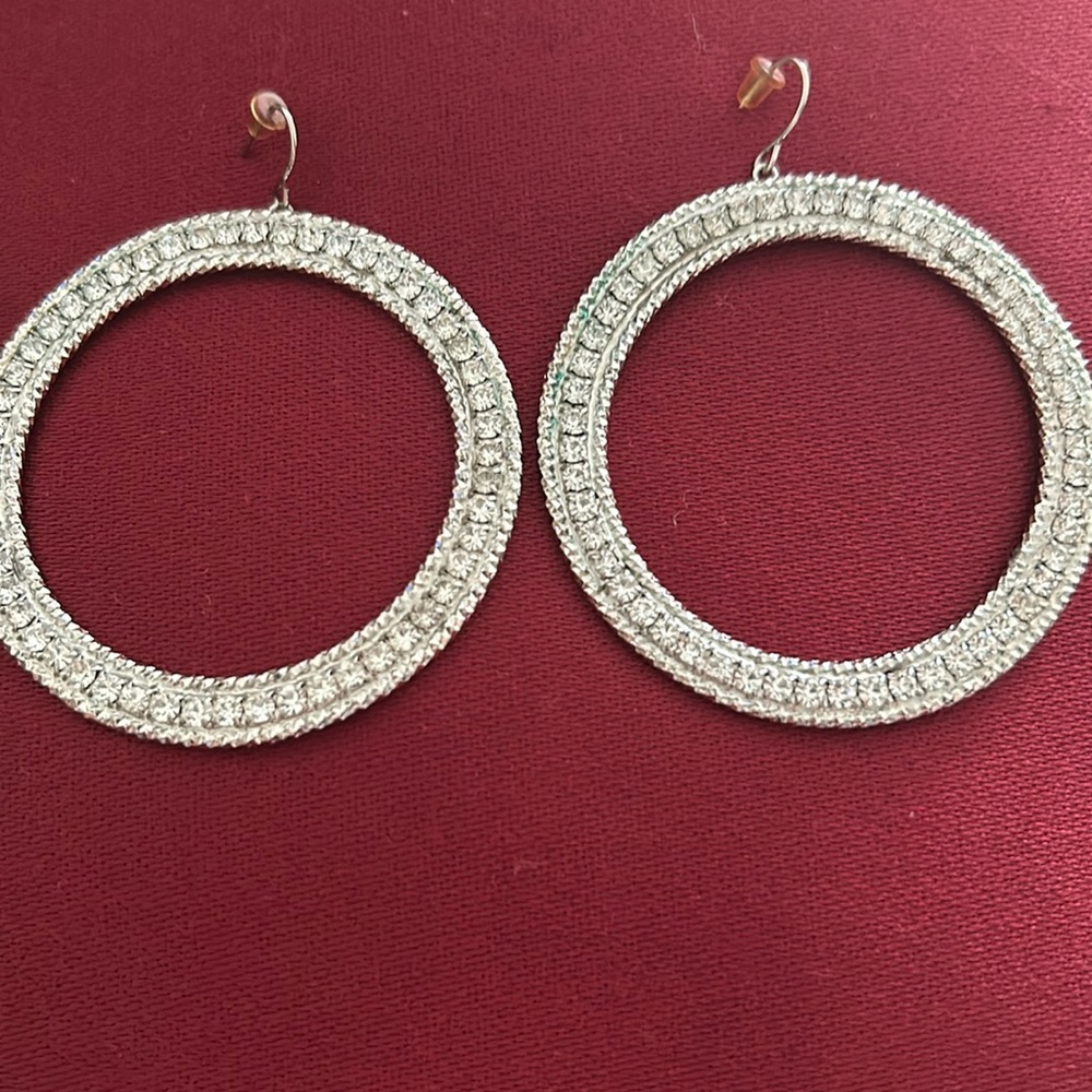 Elegant Silver Hoop Earrings